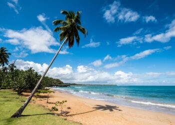 Playa Morón: The Untamed Beauty of Samaná