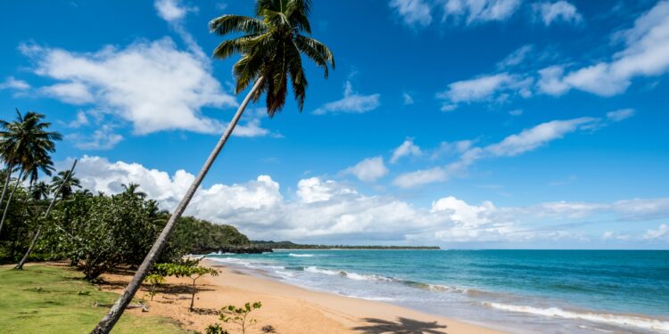 Playa Morón: The Untamed Beauty of Samaná