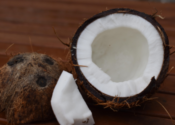 Dulce de Coco: Dominican Sweet Coconut You Need to Try