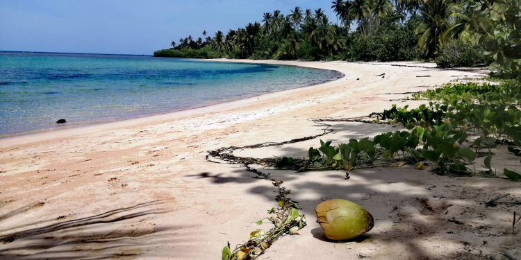 Playa El Anclón: A Hidden Snorkeling Paradise in Samaná