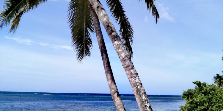 Playa Calolima: Samaná’s Hidden Local Beach